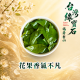 【獨家品牌罐】白龍福壽梨山
